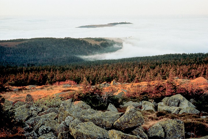 Harz-Hasselfelde (3)