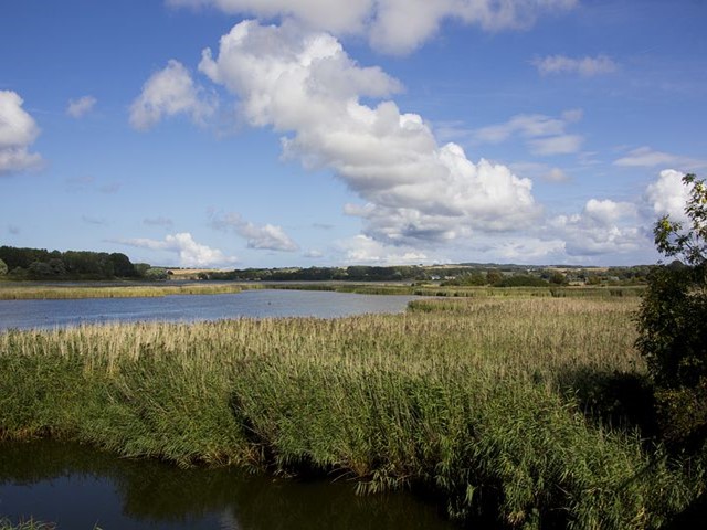 Rügen Landschaft